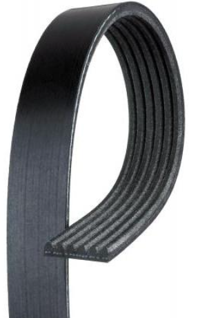 Audi Drive Belt