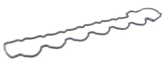 Engine Valve Cover Gasket (CL600 S600 SL65 AMG)