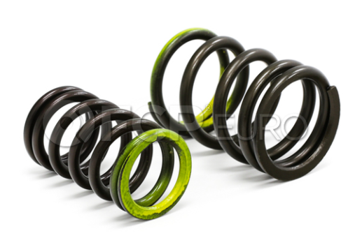 Engine Valve Spring Outer