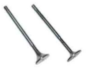 Intake Valve