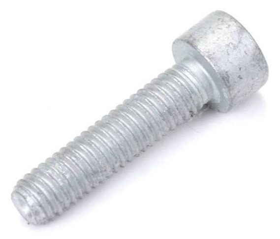 Ignition Coil Torx Screw