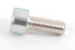 Oil Pan Bolt