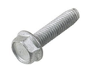 Oil Pan Bolt