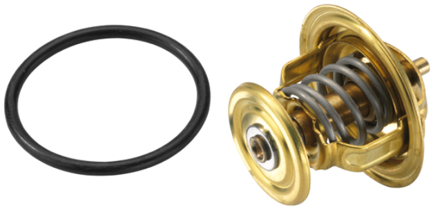 VW Thermostat -