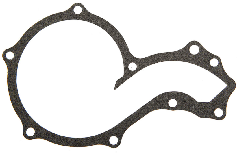 VW Water Pump Gasket