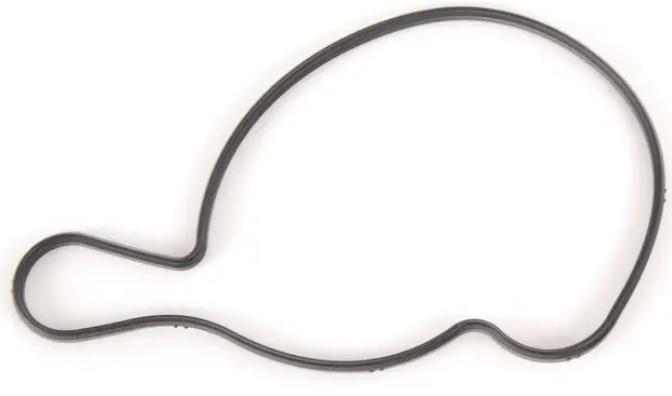 VW Water Pump Gasket