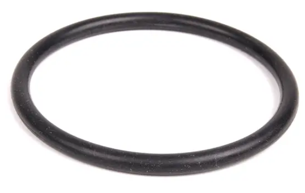 VW Water Pump O Ring