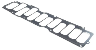 VW Plenum Gasket Lower
