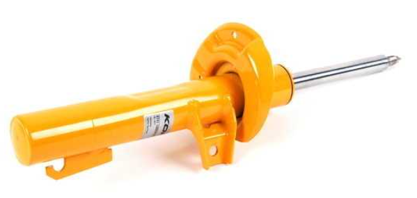 Strut Assembly